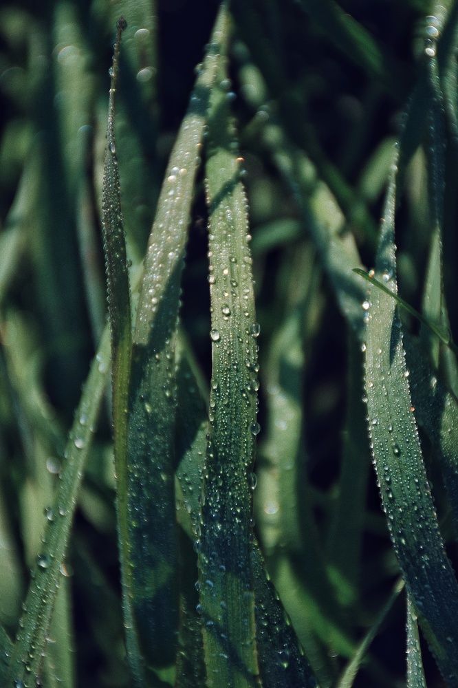 Photograph by Королева Екатерина