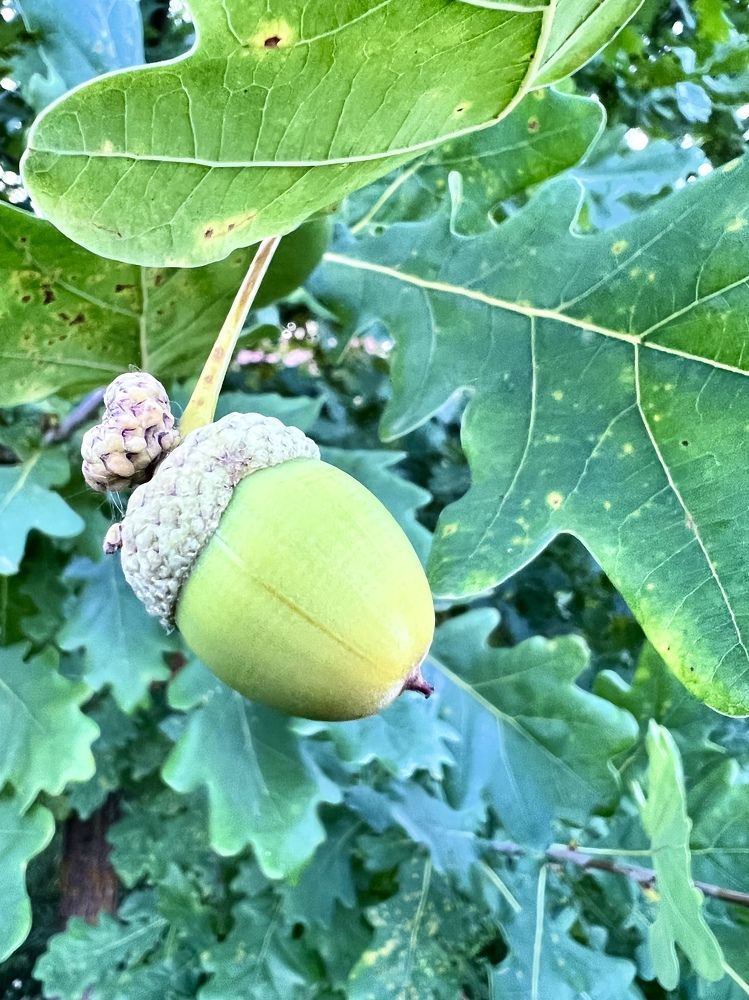 Photograph by Надежда Золотарёва