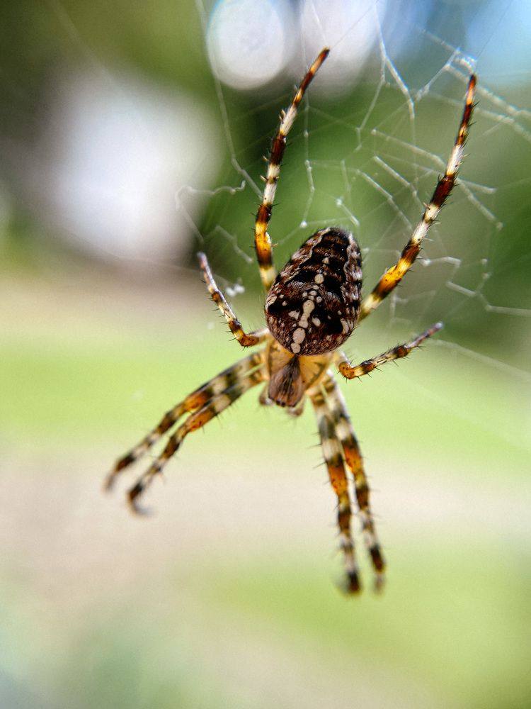 Photograph by Юлия Парыгина