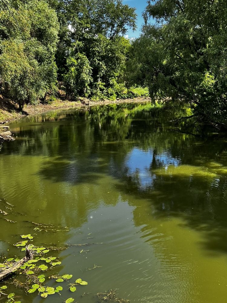 Photograph by Надежда Золотарёва