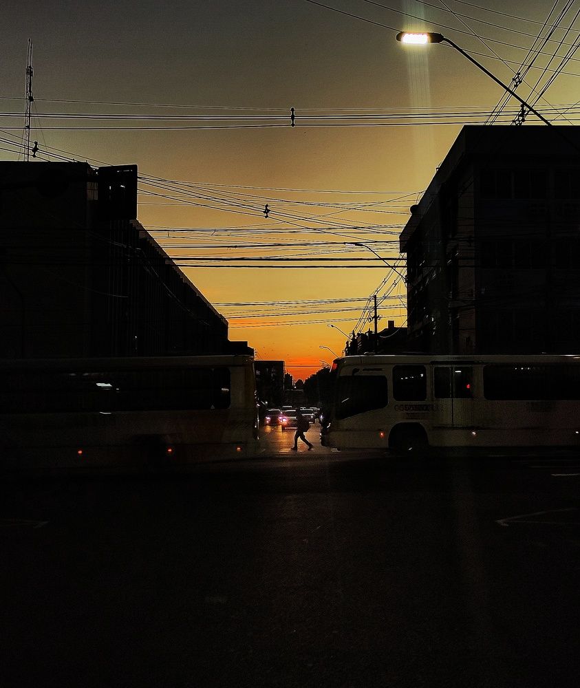 Фотография автора Diogo Thompson Ribeiro