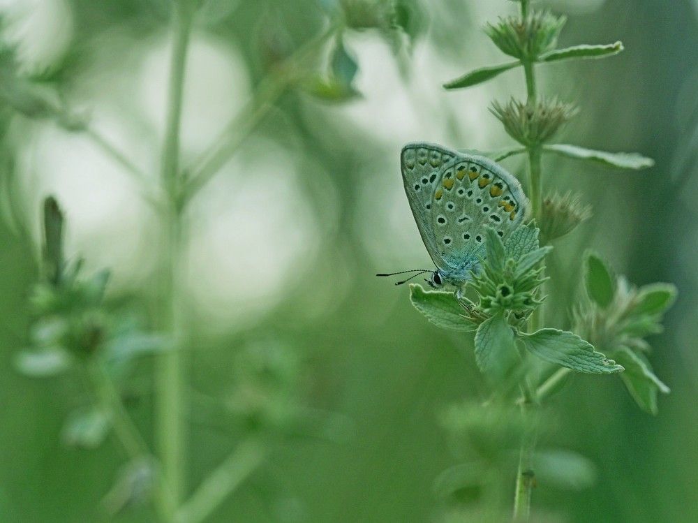 Photograph by Татьяна