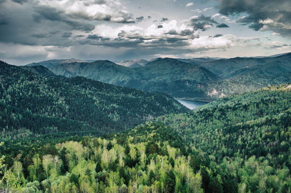 Photograph by Алексей Митрофанов