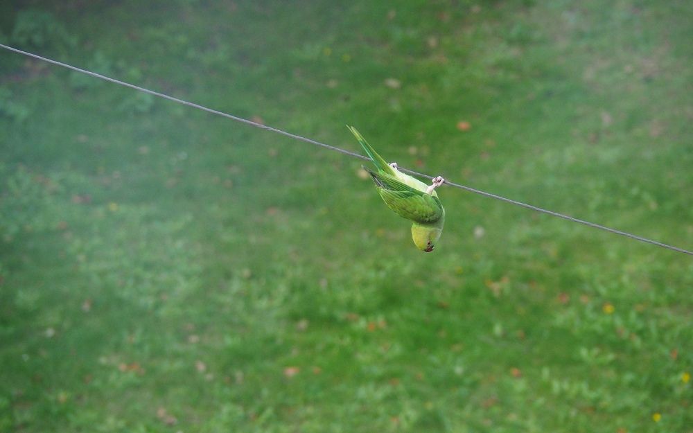 Фотография автора Madina Musaeva