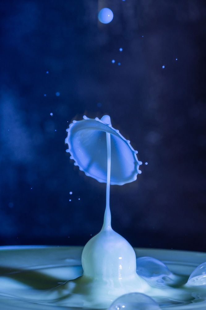 Photograph by Olga Link