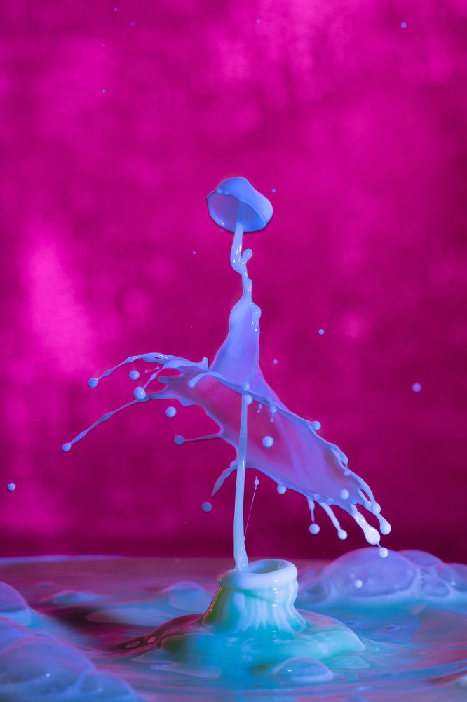 Photograph by Olga Link