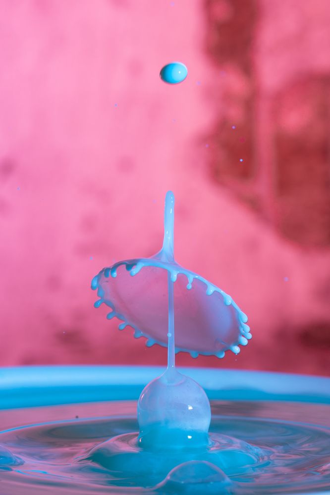 Photograph by Olga Link