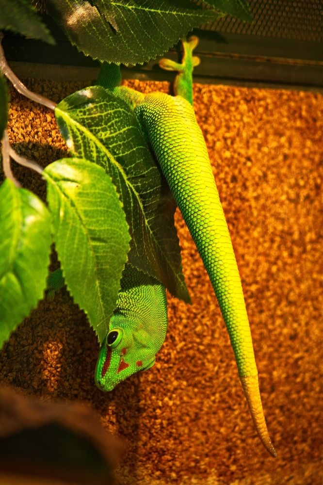 Photograph by ANTON KLYUSHIN