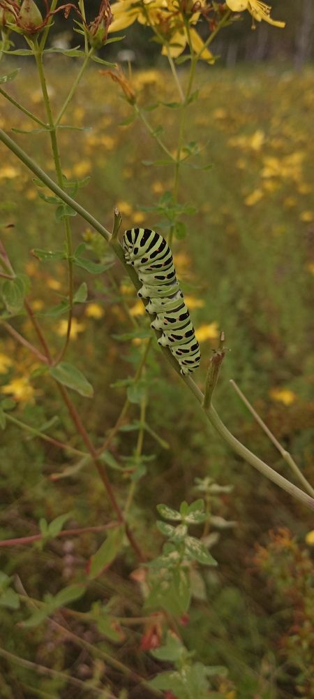 Photograph by Анастасия Кичигина