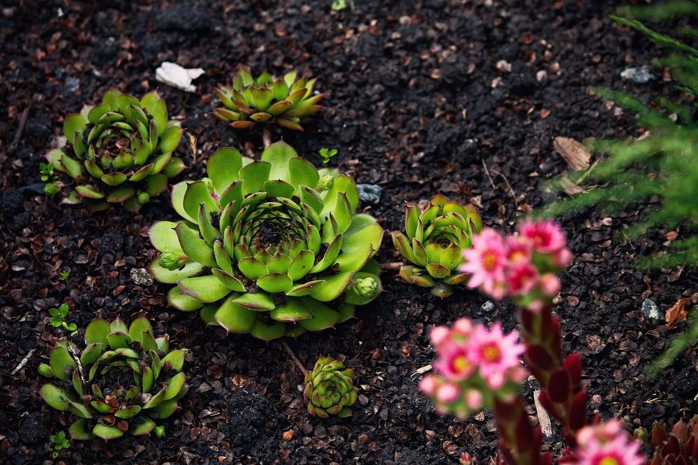 Photograph by ANTON KLYUSHIN