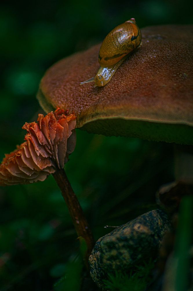 Photograph by Александр Жариков