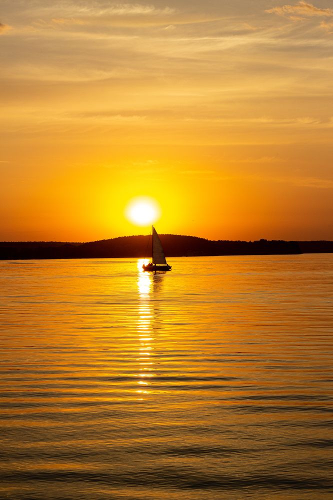Фотография автора Ольга Войтехович
