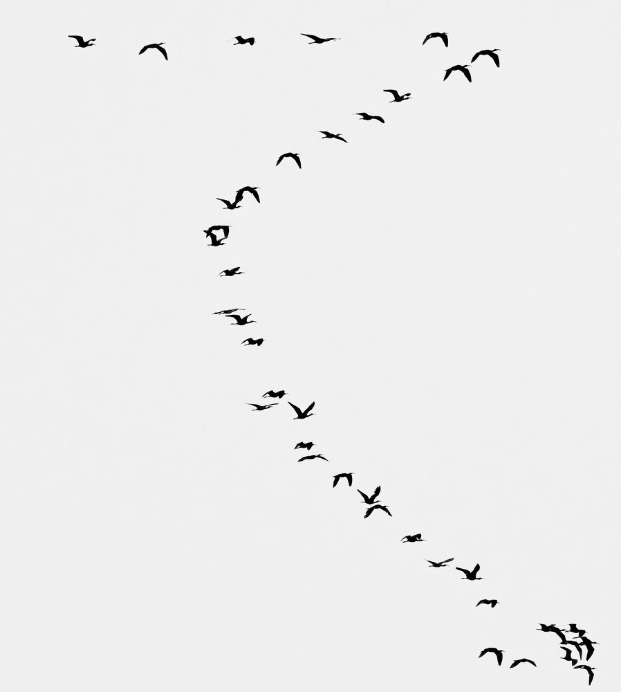 Photograph by Abhishek Manna