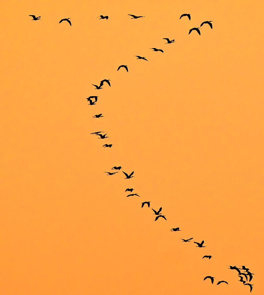 Photograph by Abhishek Manna