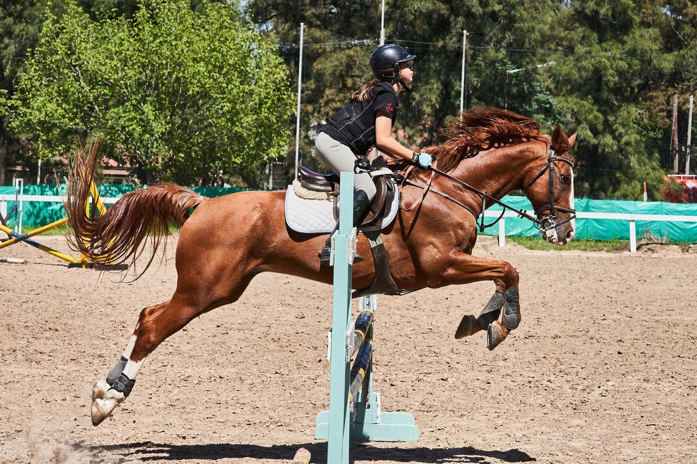 Photograph by Viera Juan Carlos