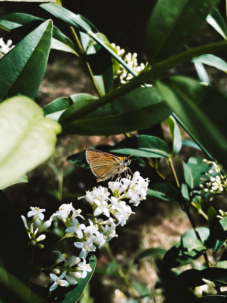 Photograph by Karina Mamliutova