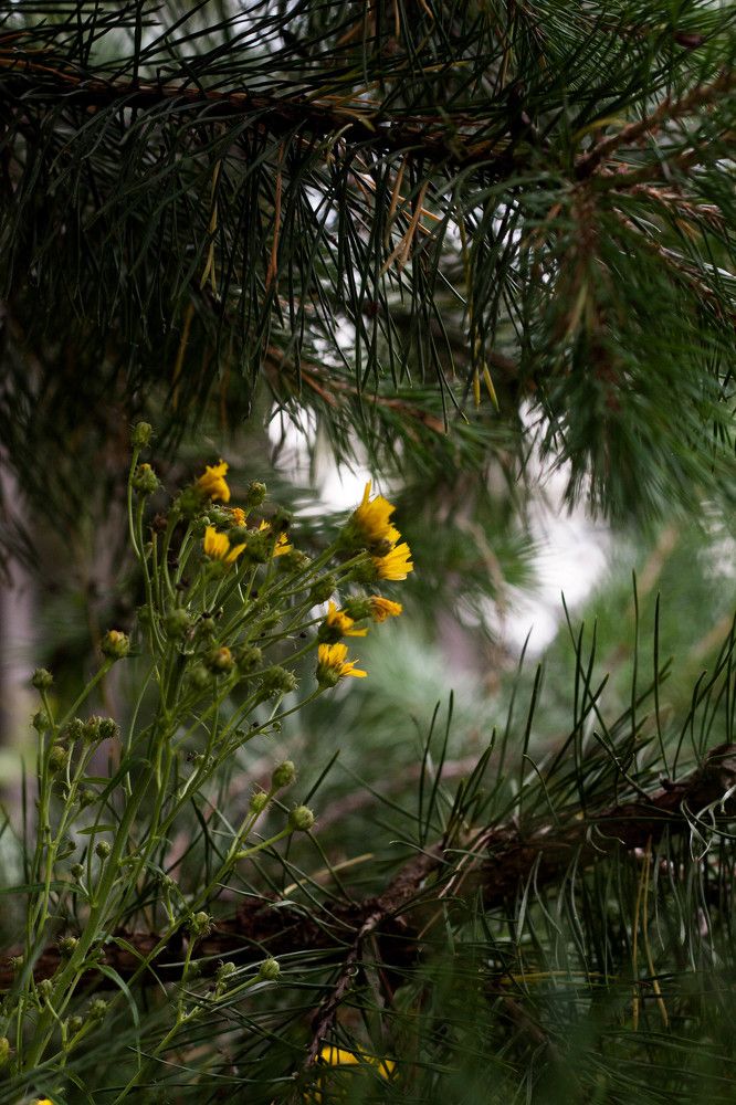 Photograph by Анастасия Лопатина