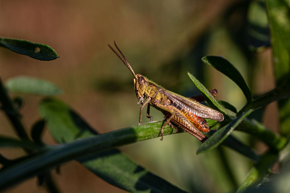 Photograph by Наталья Рябоконенко