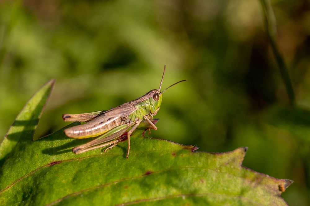 Photograph by Наталья Рябоконенко