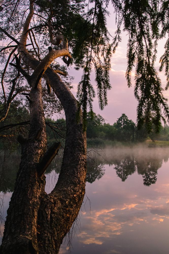 Photograph by Наталья Рябоконенко