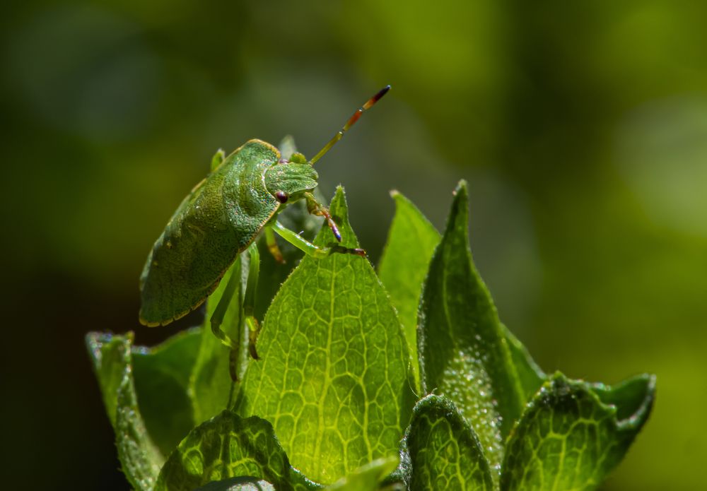 Photograph by Сергей