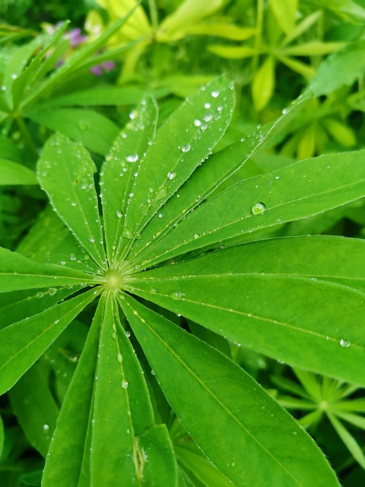 Photograph by Наталья Круглова