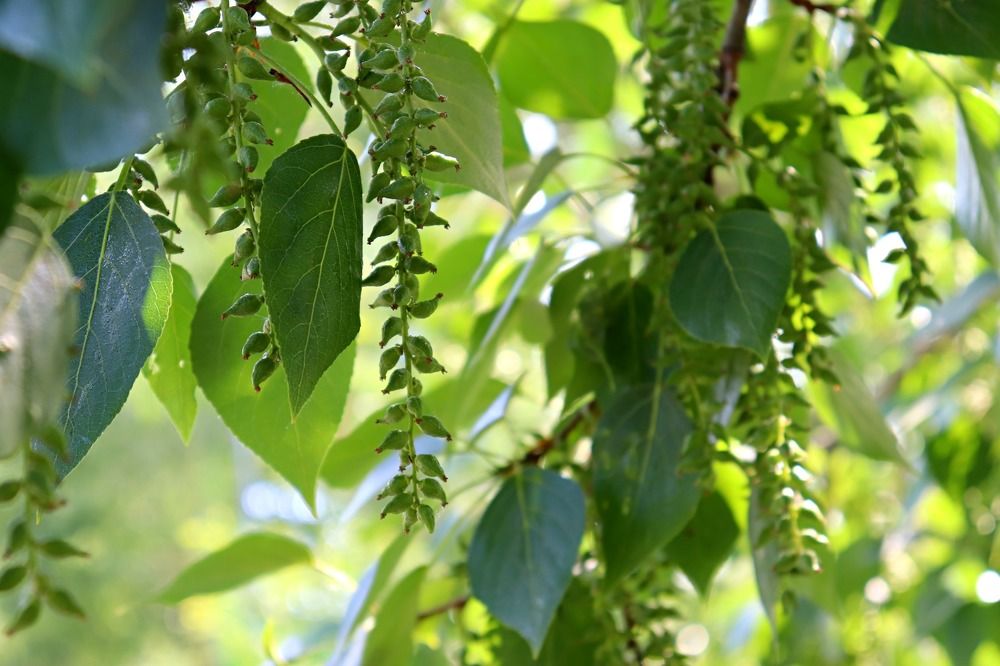 Photograph by Татьяна Котельникова