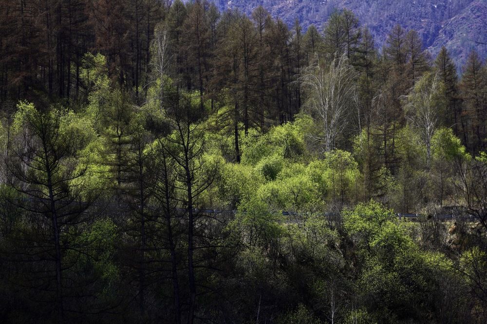 Photograph by Андрей Кузнецов