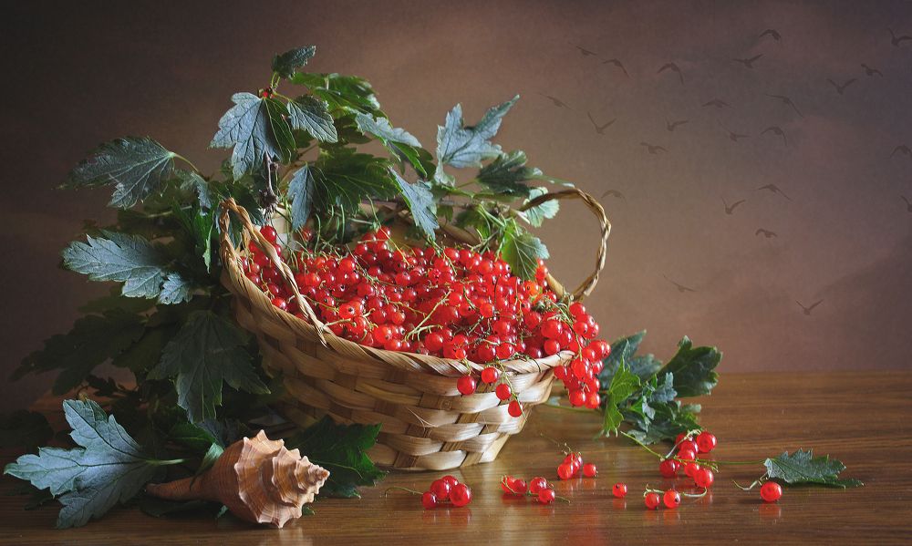 Photograph by Татьяна Долженкова