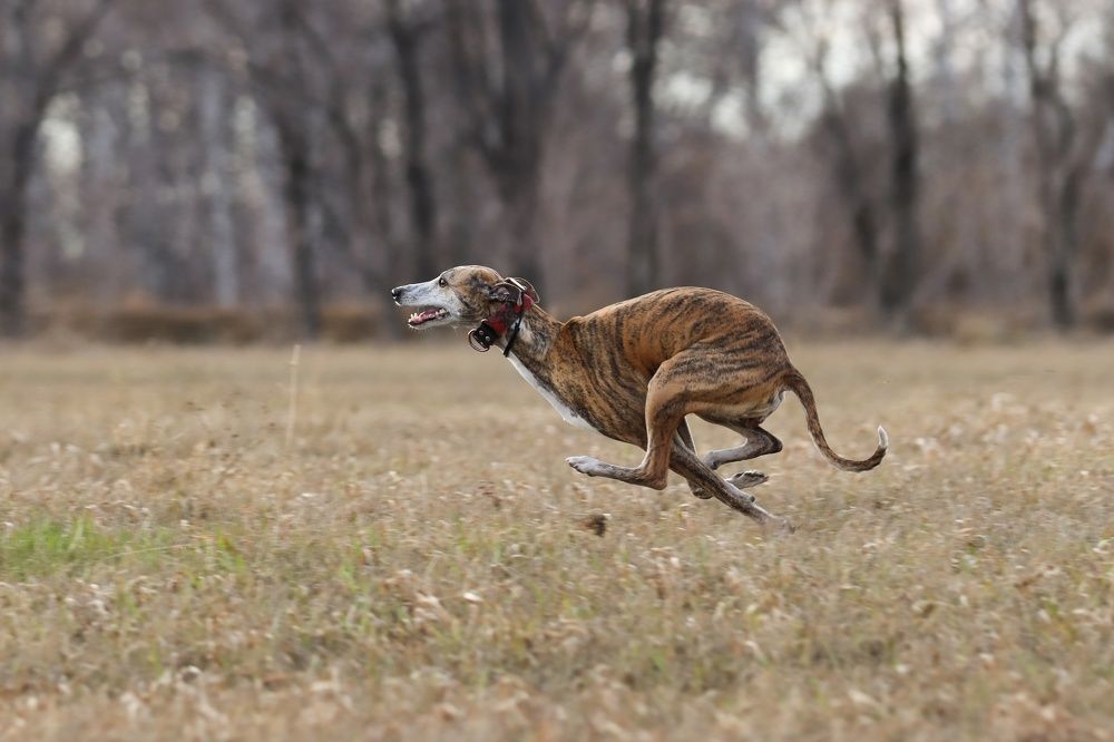 Photograph by Анна Вербилова