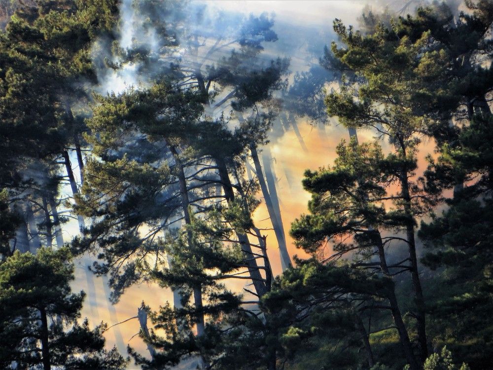 Photograph by Екатерина Салий