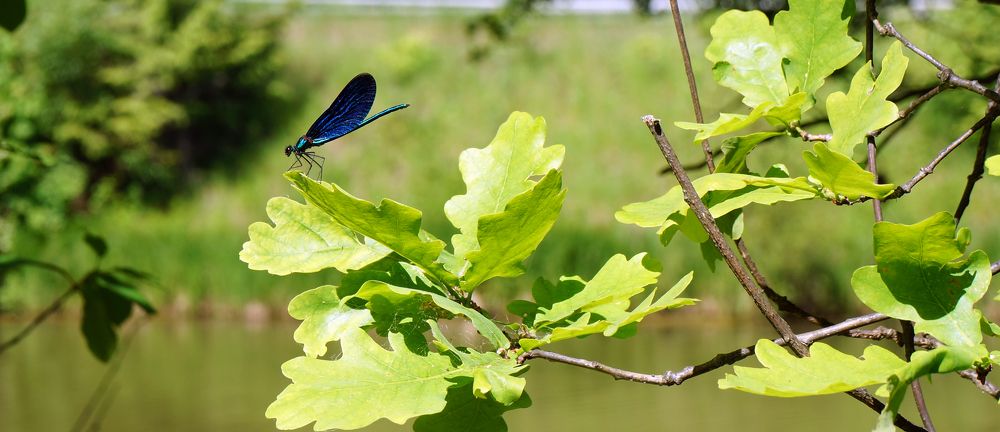 Photograph by Ольга Стоун