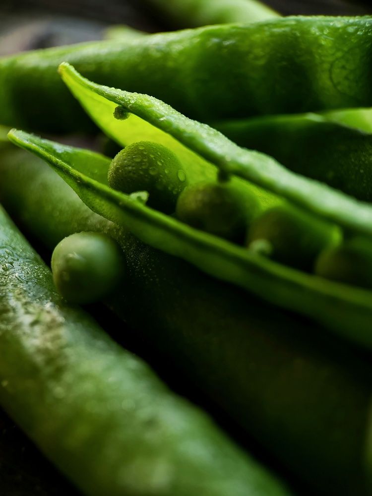 Photograph by Светлана Смирнова