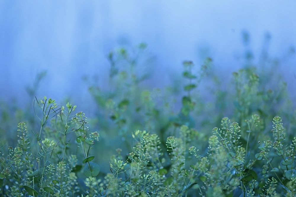 Photograph by Ольга Одаренко