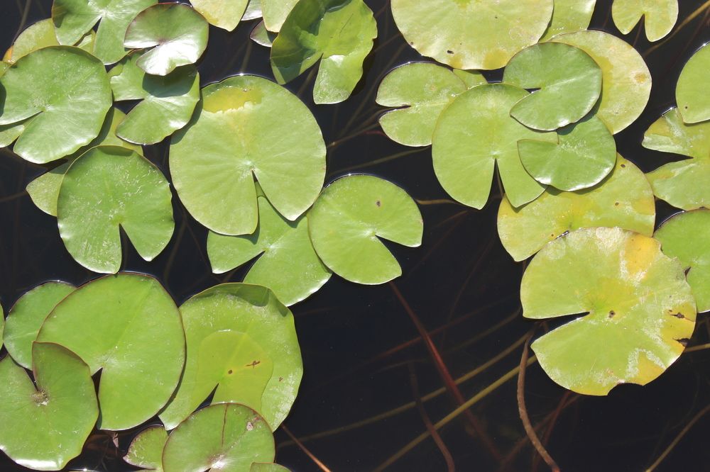 Photograph by Anastasia Kodatenko