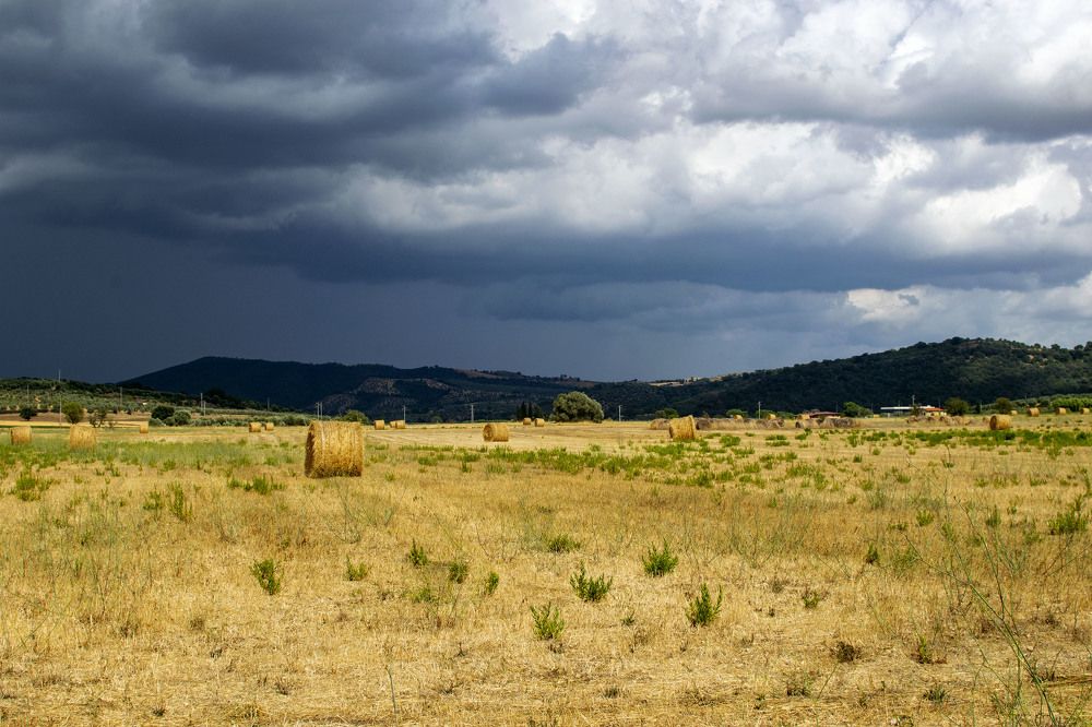 Photograph by SIMONE CIULLI