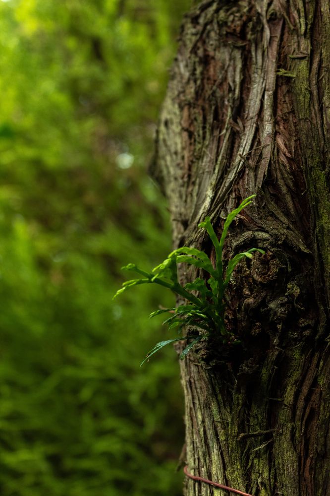 Photograph by Ирина