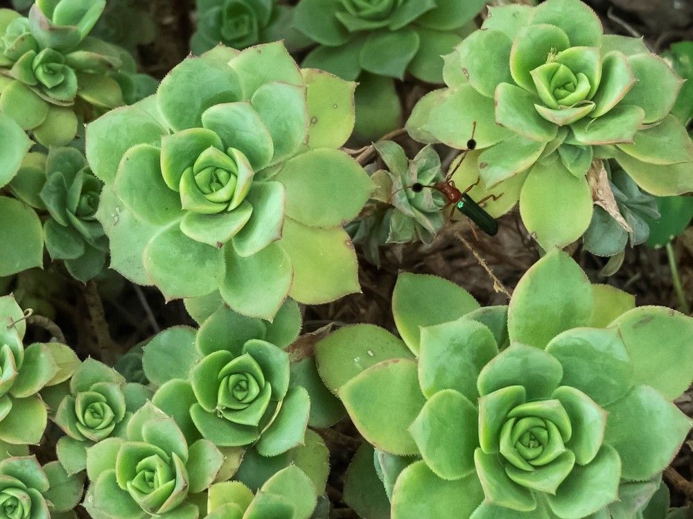 Photograph by Lucía Ruiz