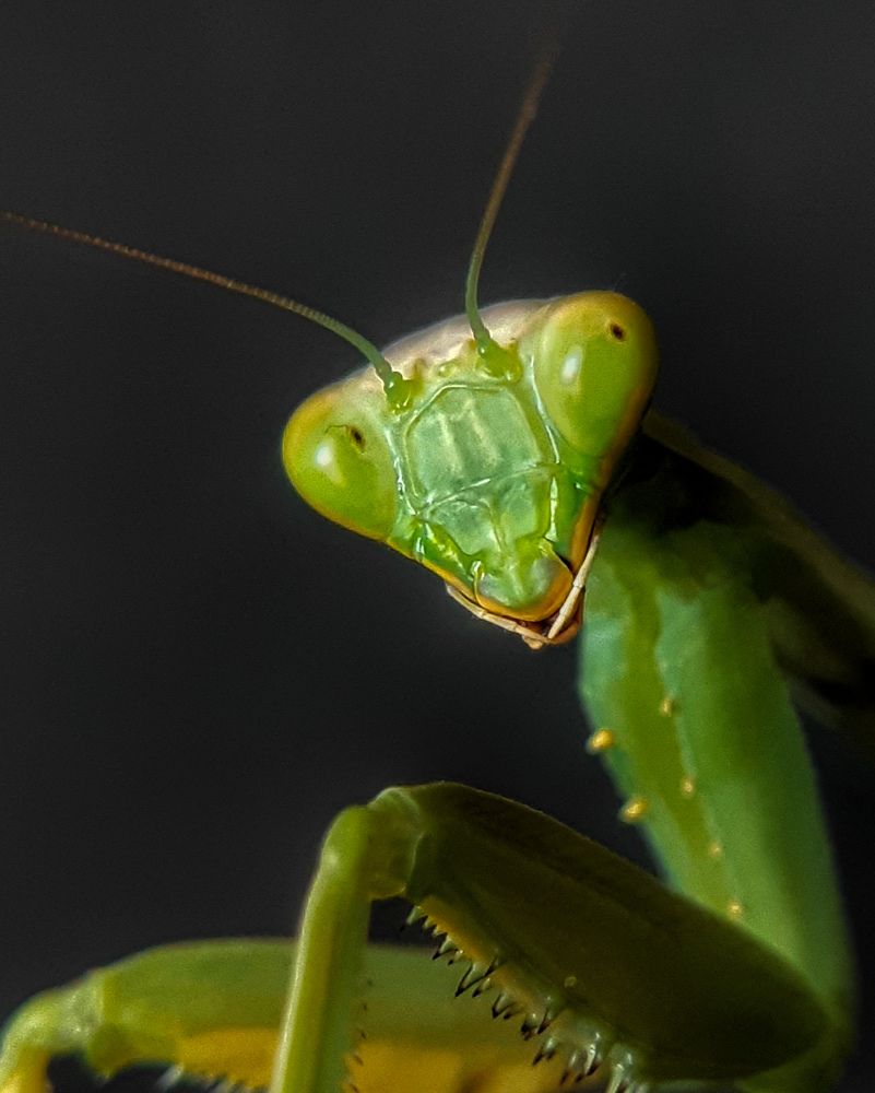 Photograph by Анна Чичилова