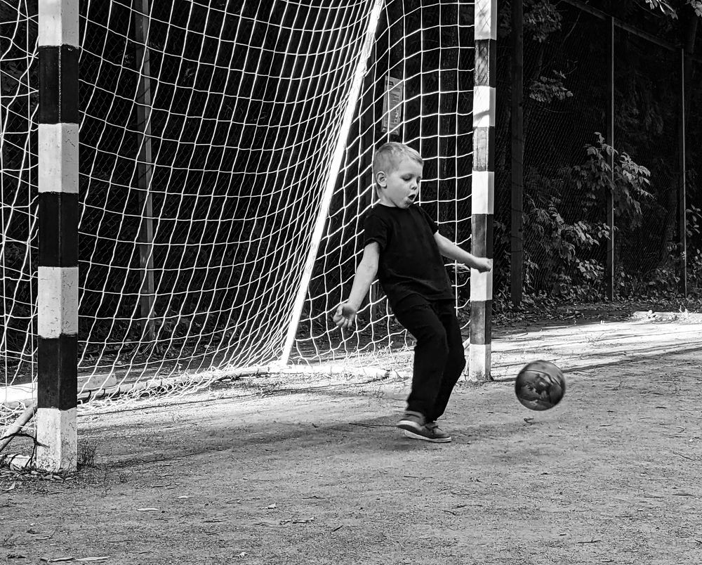Photo #7976561
