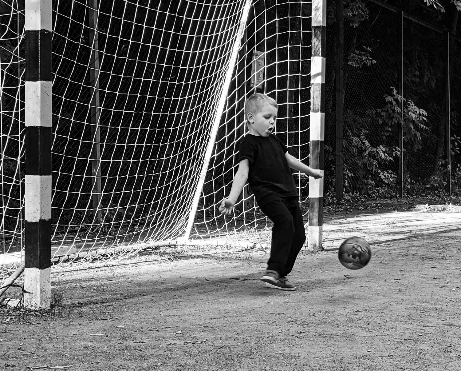 Photo #7976561