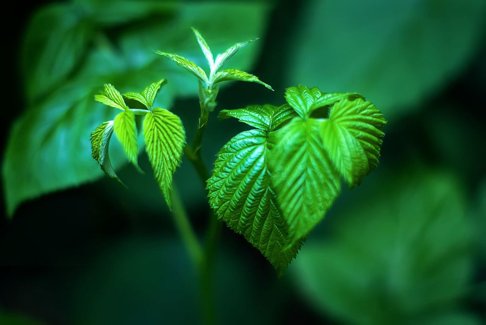 Photograph by Наталья Микулич