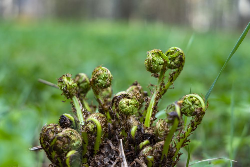 Photograph by Анастасия Малахова