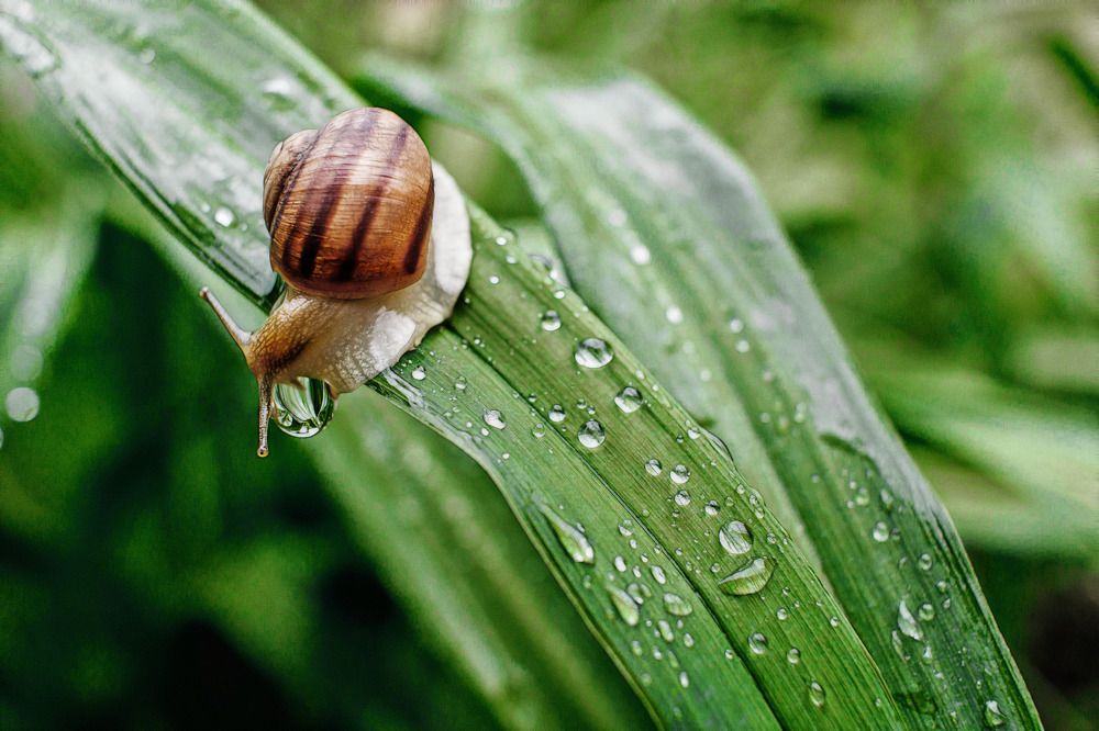 Photograph by Александр Стрельченко