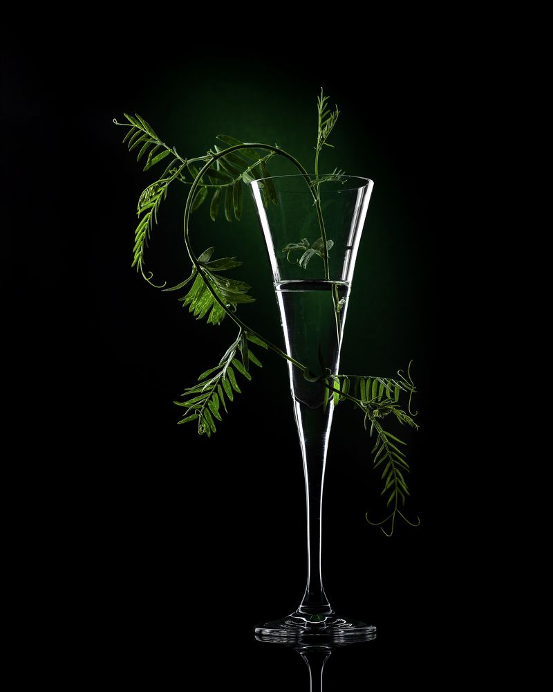 Photograph by Ирина Толокновская