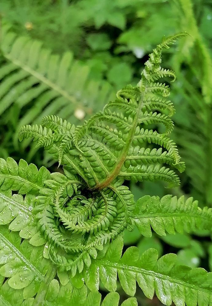 Photograph by Ирина Кортюкова