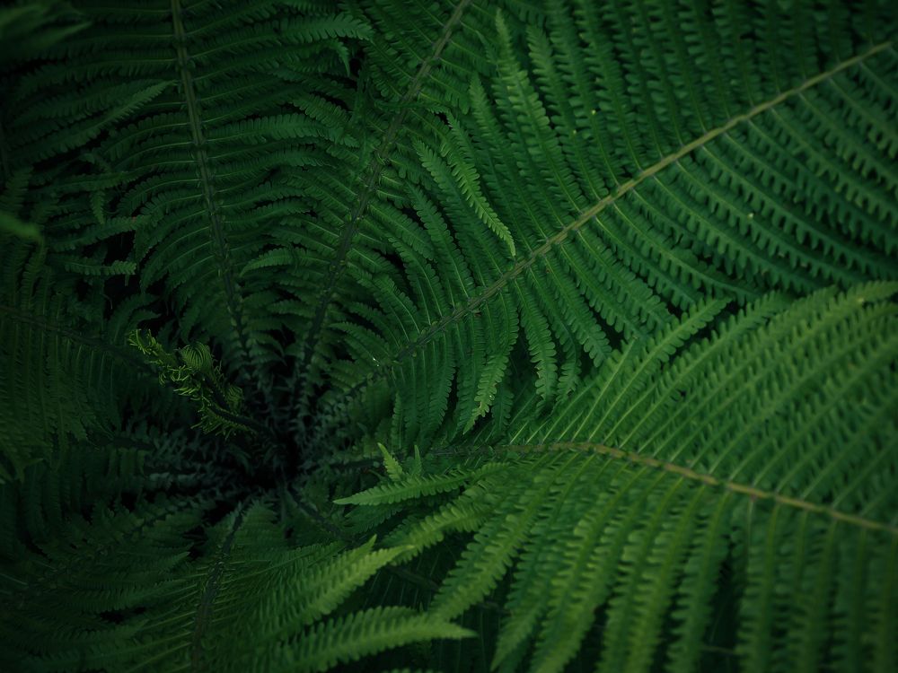 Photograph by Natalia Novikova