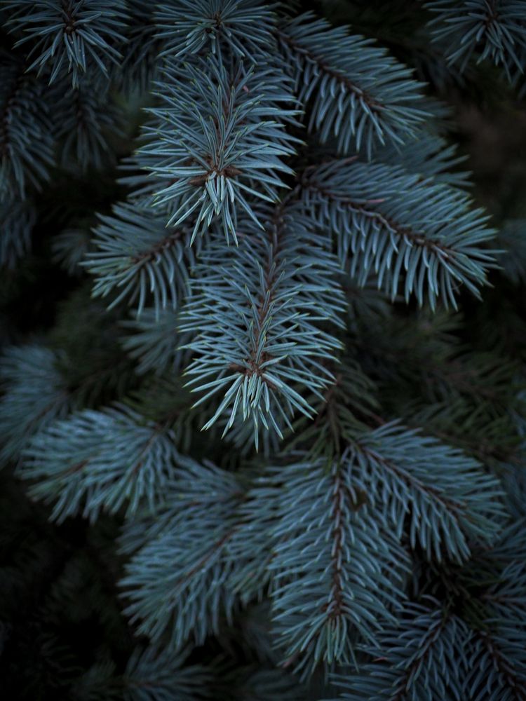 Photograph by Natalia Novikova