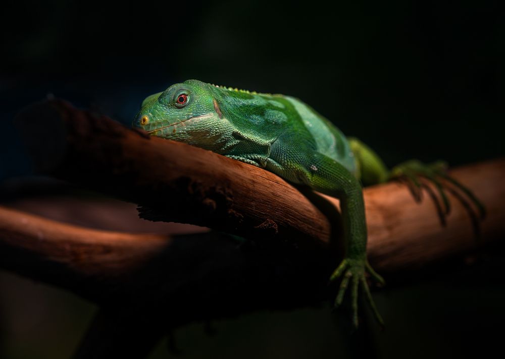 Photograph by Анатолий Макоедов