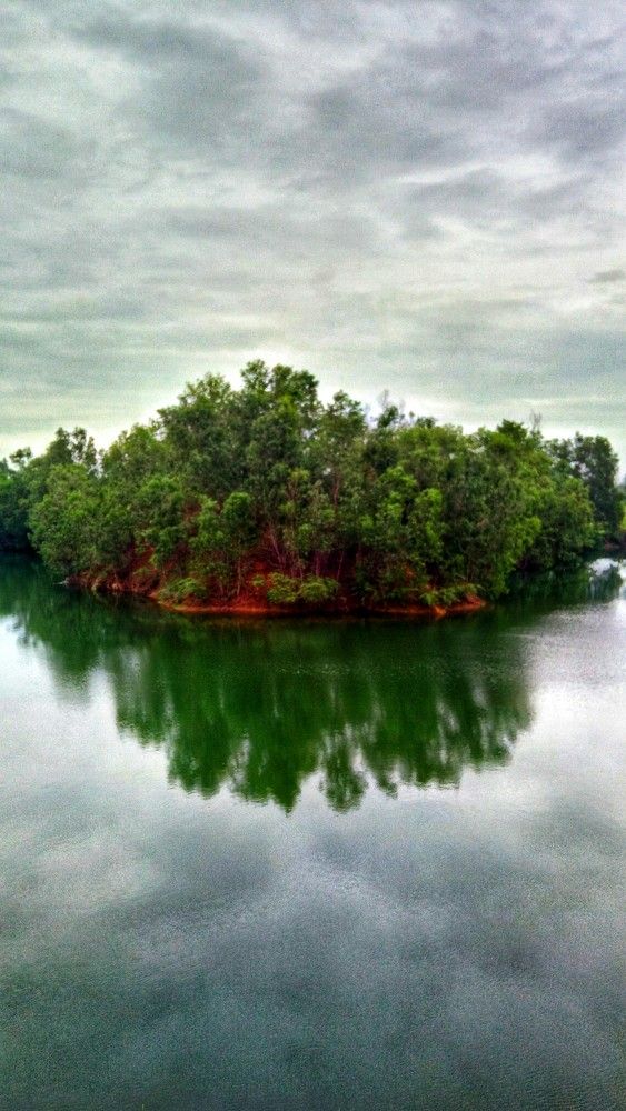 The Mysterious Island